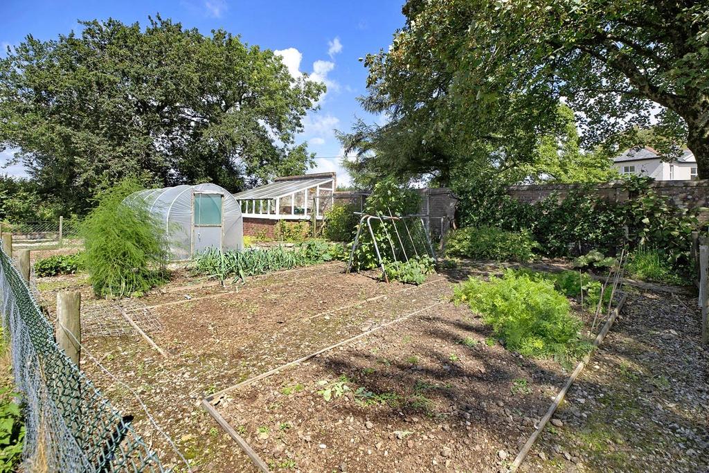 Vegetable Garden