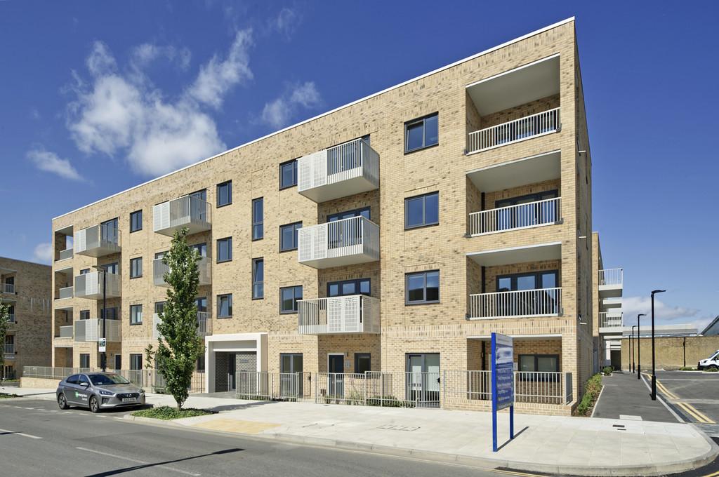 Honeysuckle hse-4255