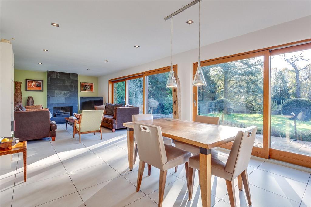 Dining/Living Area