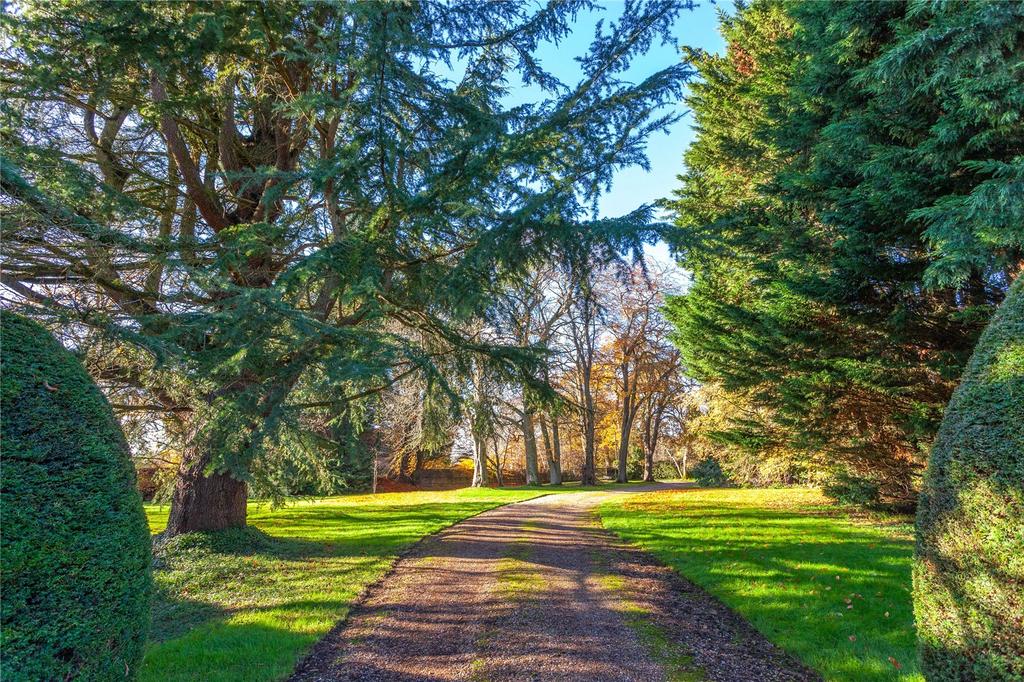 Driveway