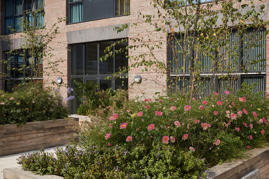 Communal Gardens