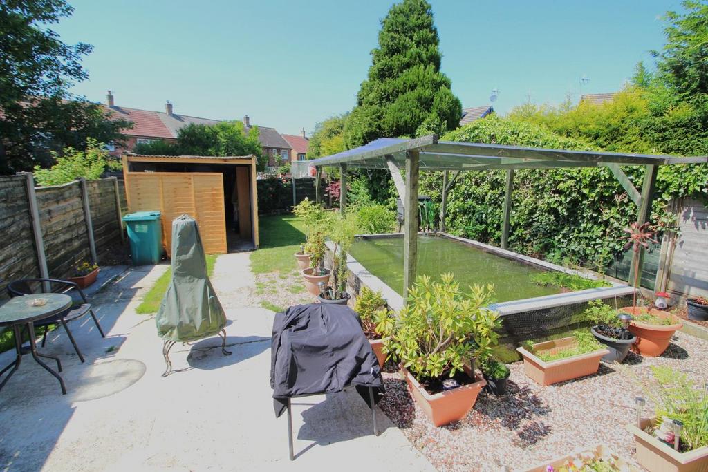 Backgarden.JPG