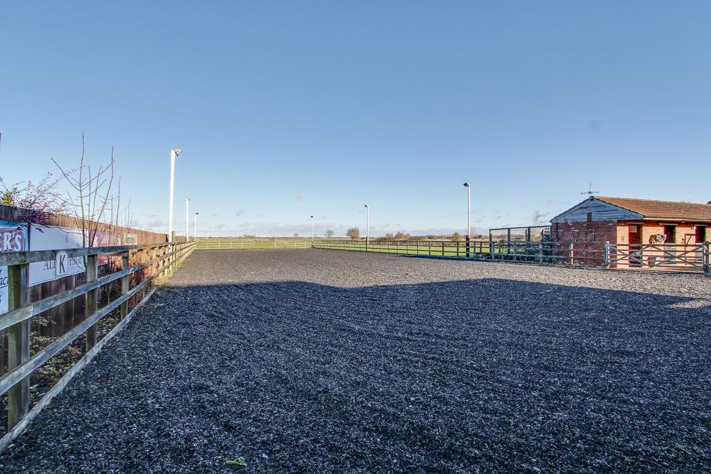 Flood Lit Manege