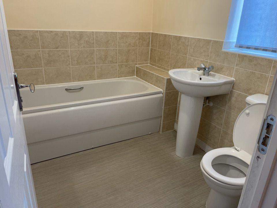 Pic 5