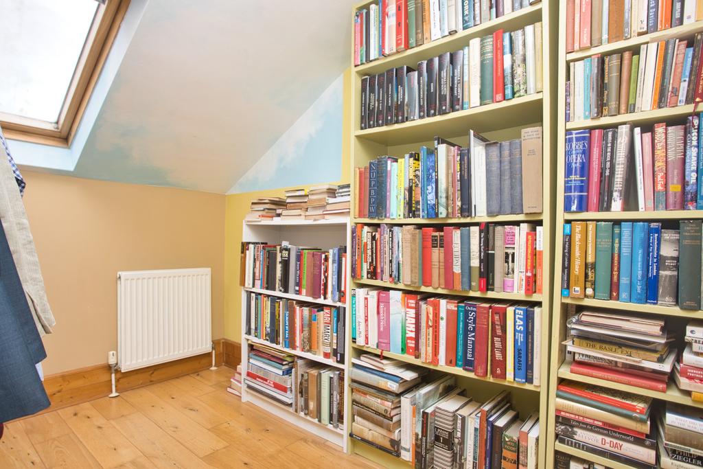 Picture 8
