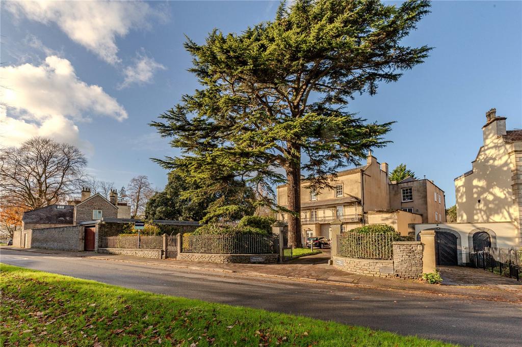 26