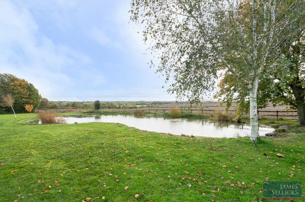 Pond