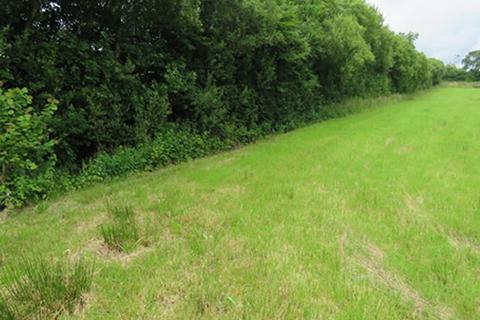 Land for sale, Hollacombe, Holsworthy, Clawton, Devon EX22