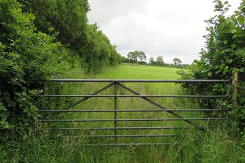 Land for sale, Hollacombe, Holsworthy, Clawton, Devon EX22