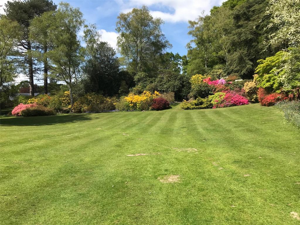 Seasonal Garden