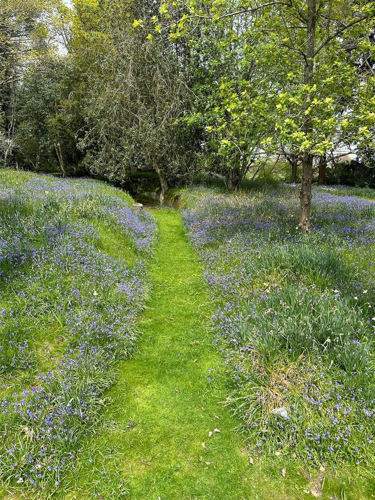 Bluebell Woodland