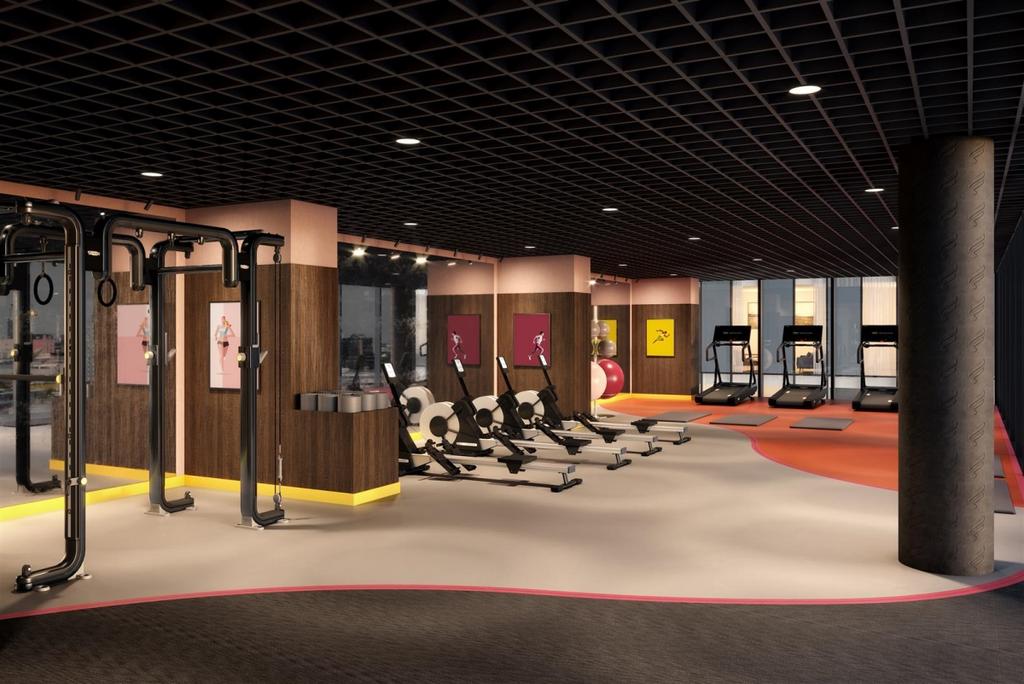 GYM MEZZ (Large)