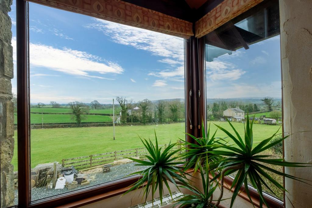 Farmhouse Views