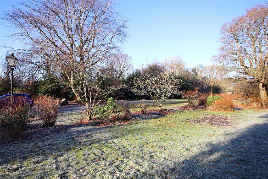 Garden.jpg