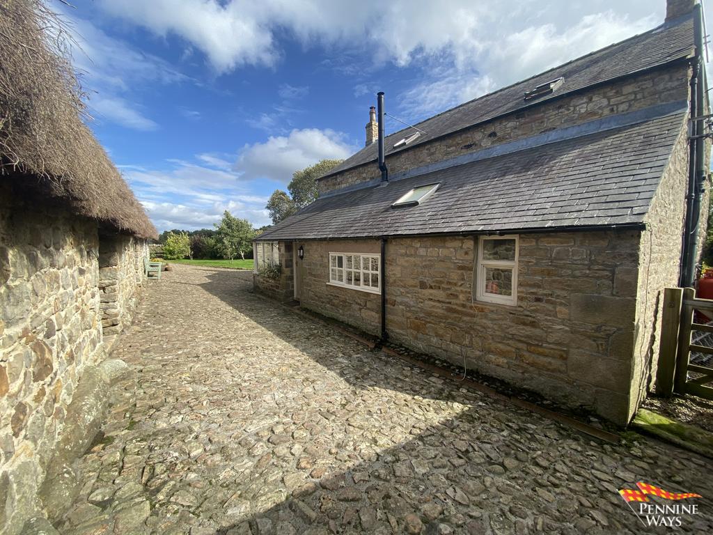 Side Garden &amp; Courtyard