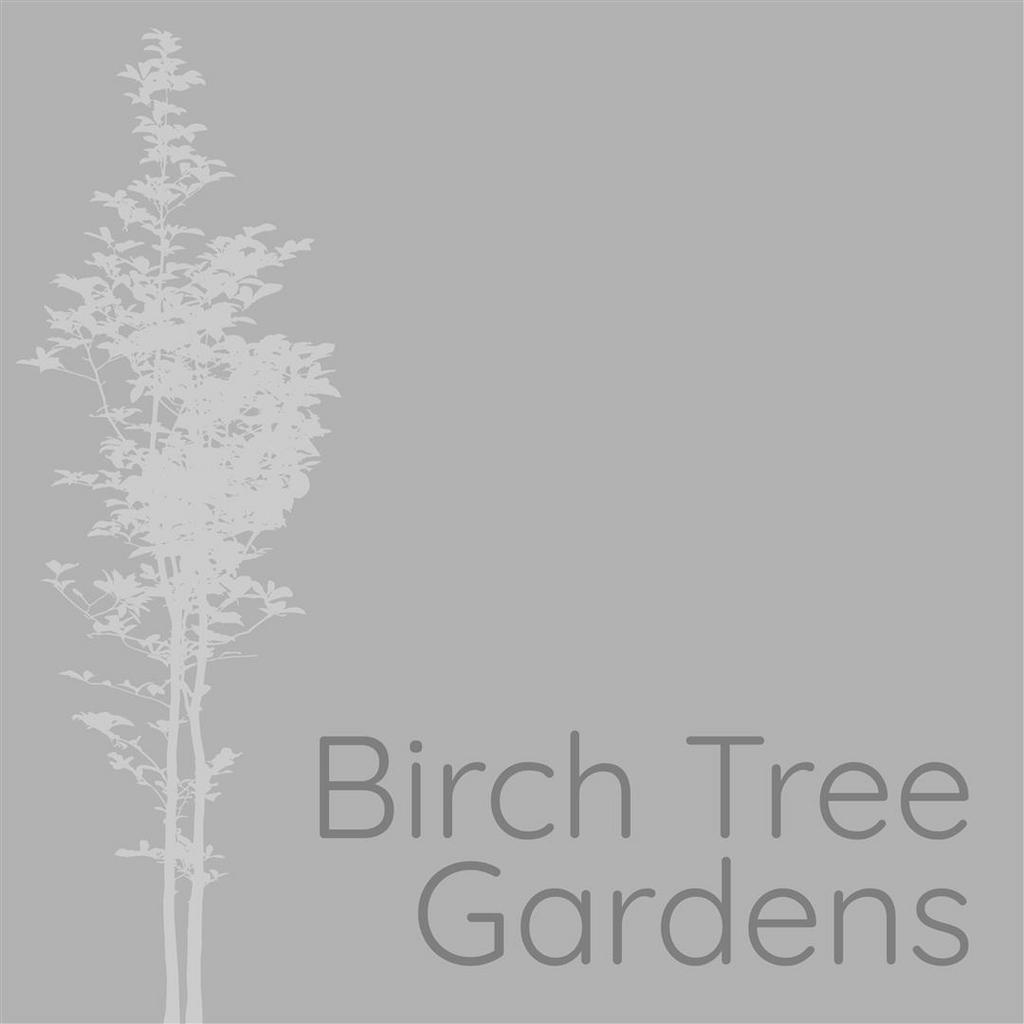 Birch tree gardens.jpg