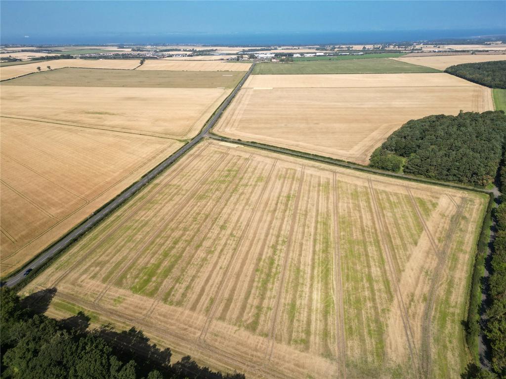 Lot 1   Farmland