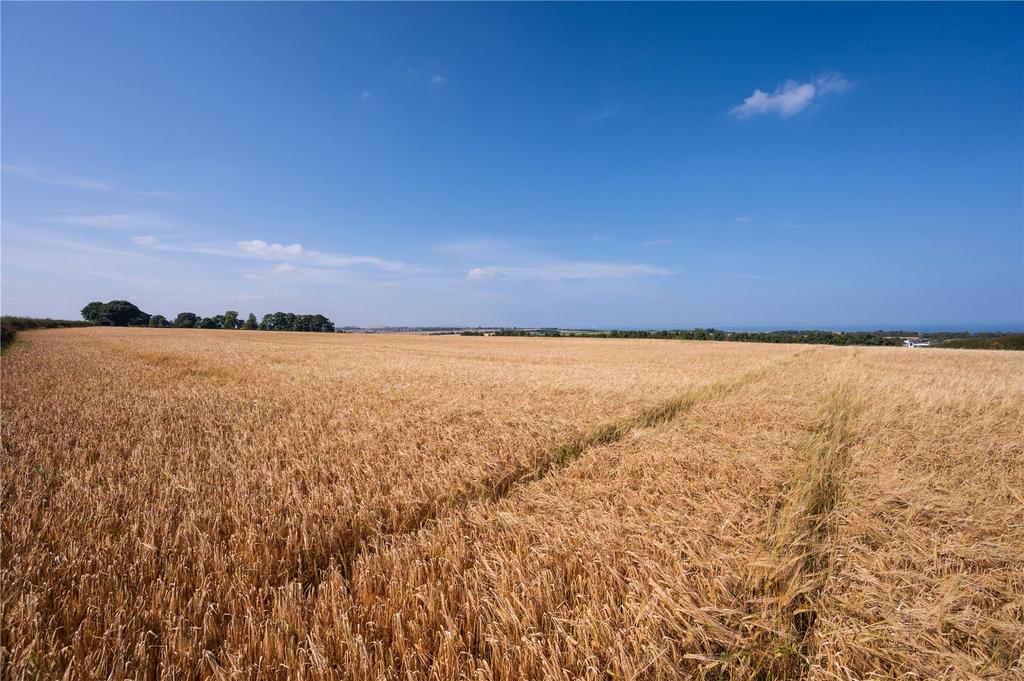 Lot 1   Farmland