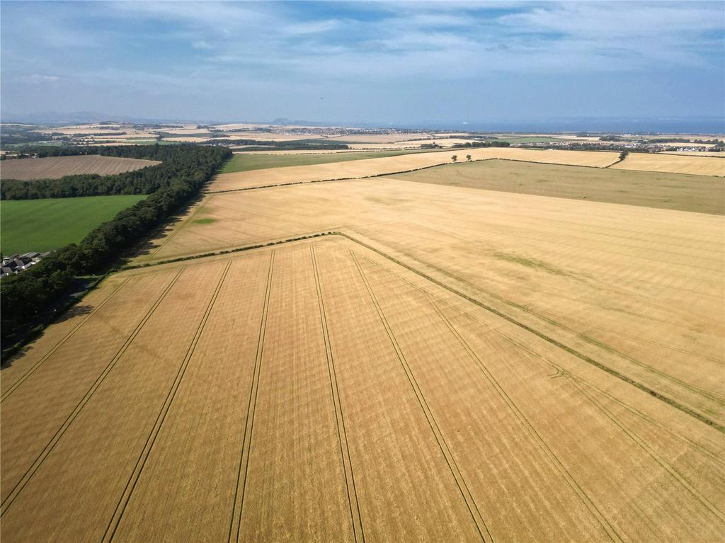 Lot 1   Farmland