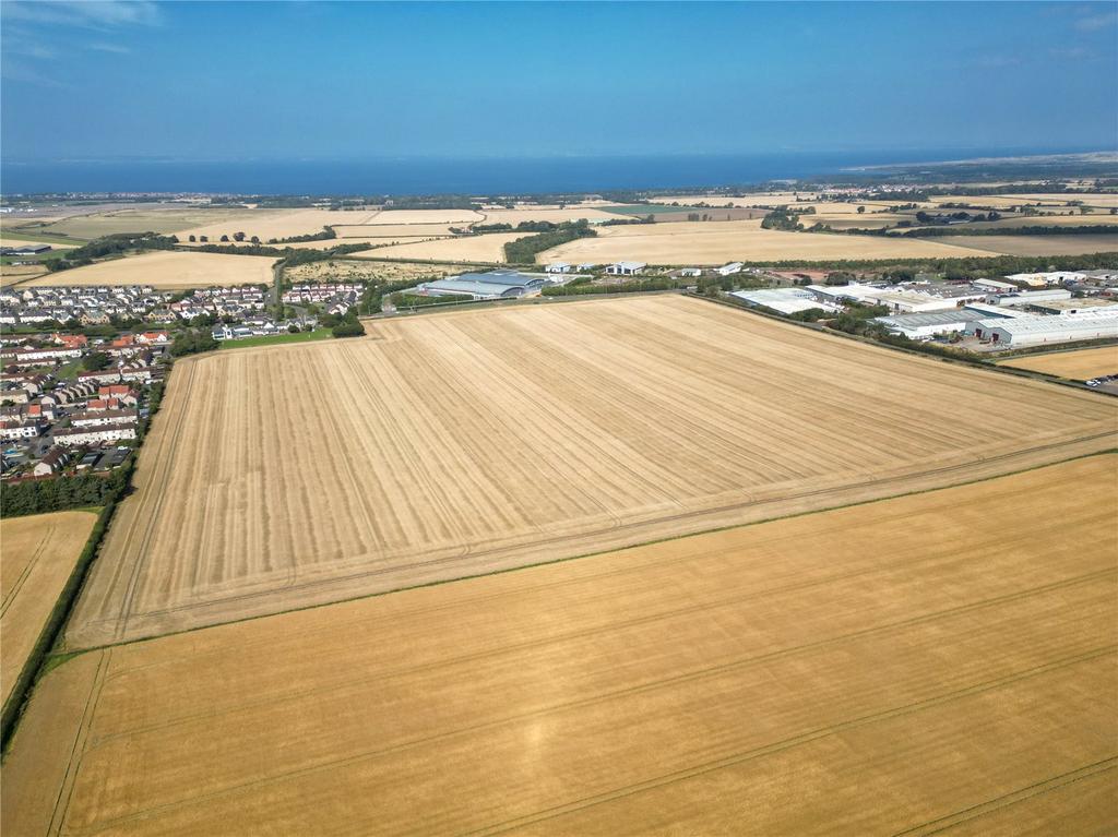 Lot 3   Farmland