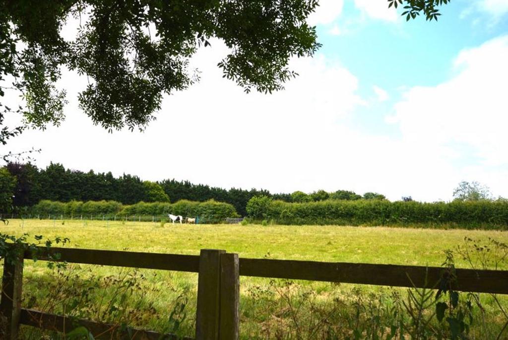 Paddocks at rear