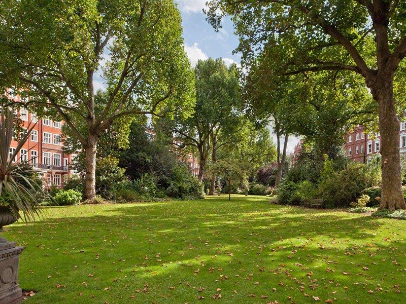 Communal Gardens