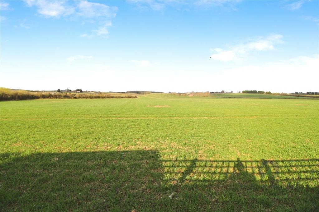 Field View