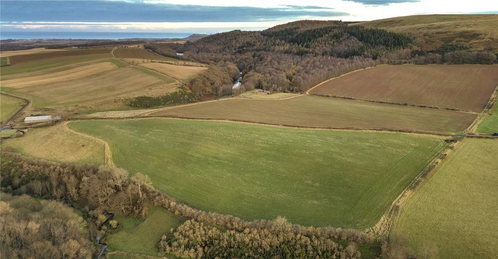 Aerial Of Land