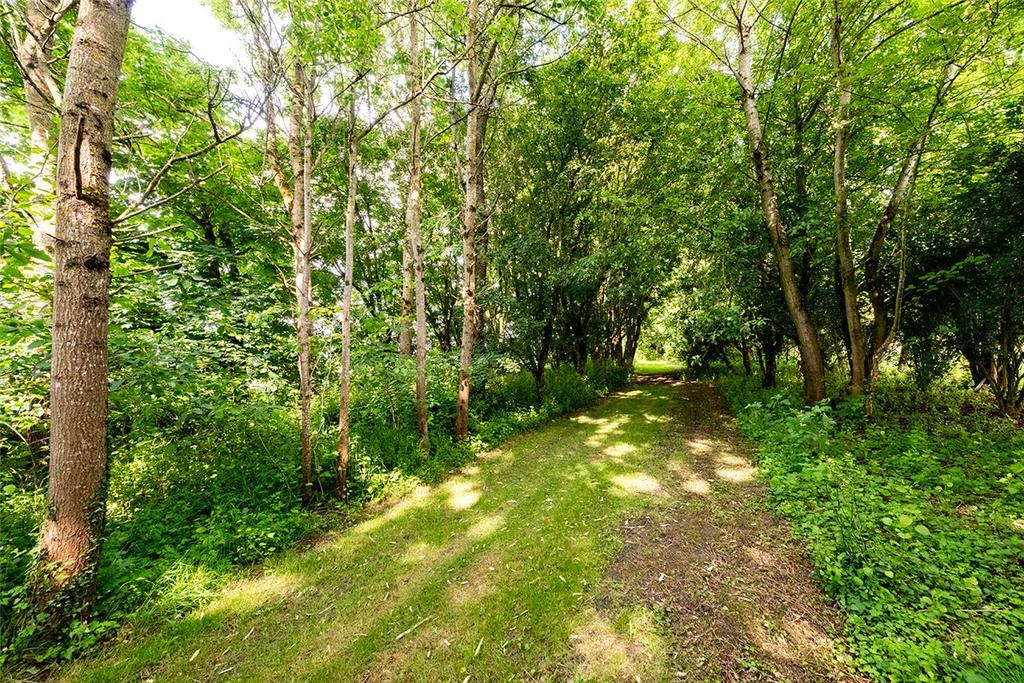 Woodland Area