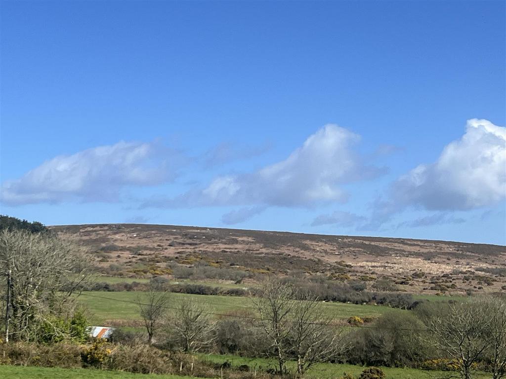 View from garden