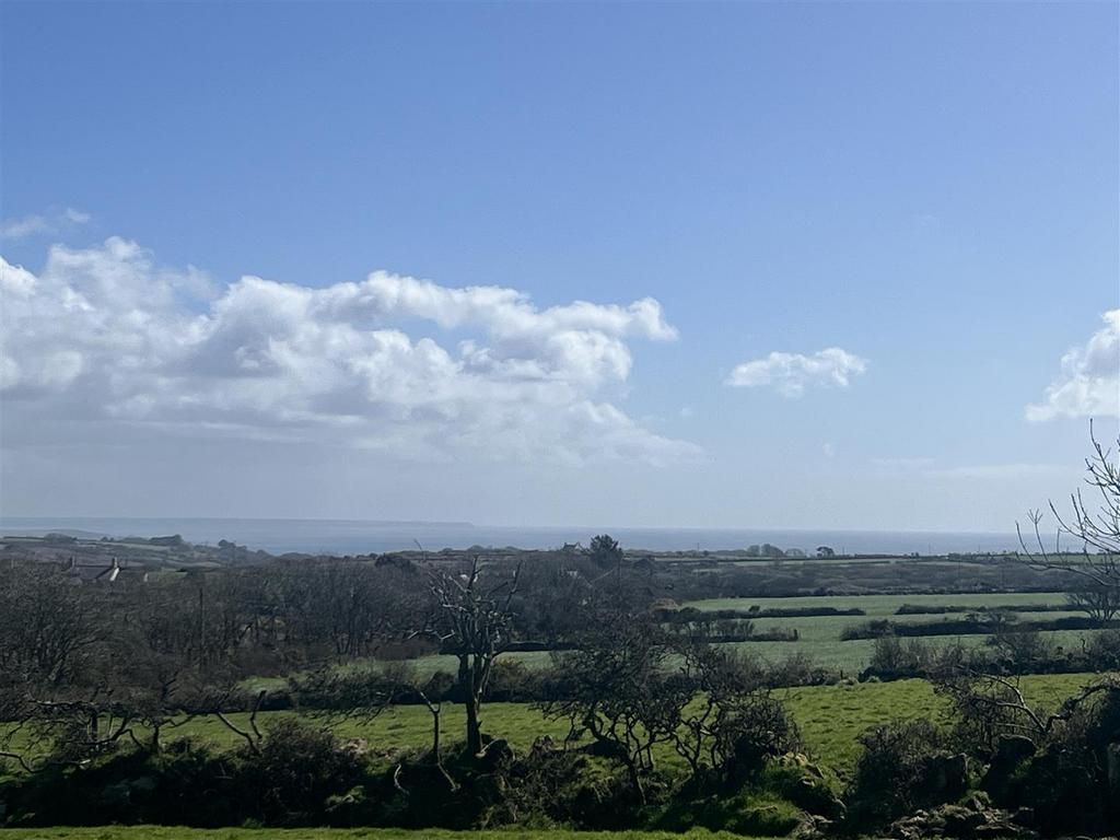 View from garden