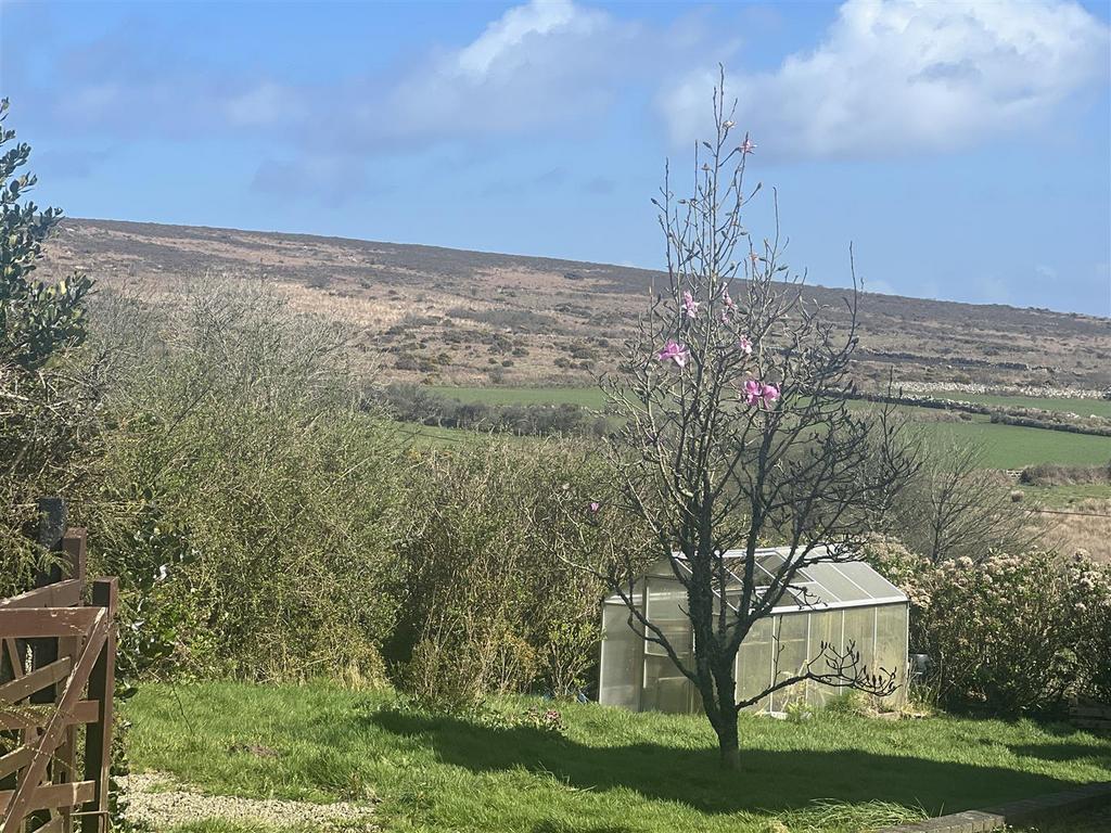 View from garden