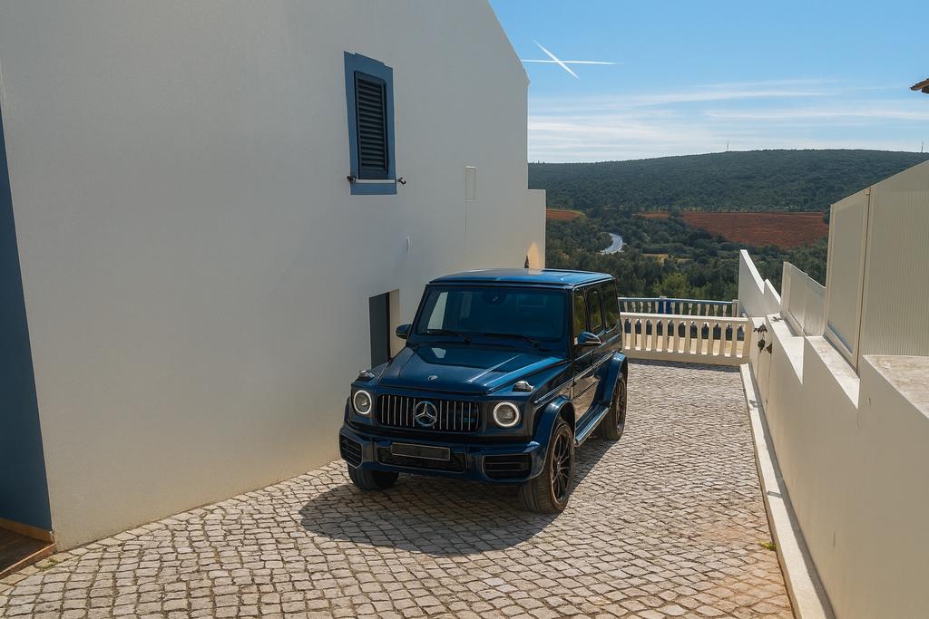 Driveway view, driveway