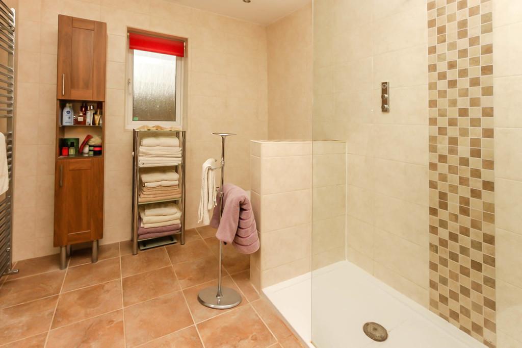 Ensuite Shower Room