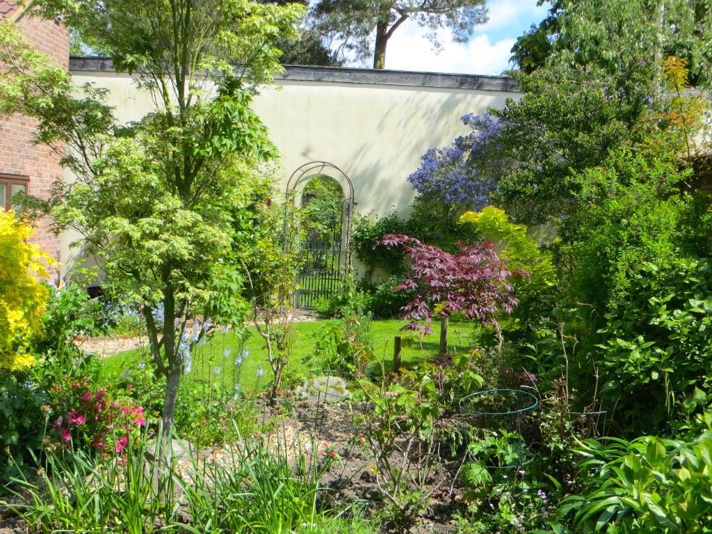 Garden summer 1.jpg