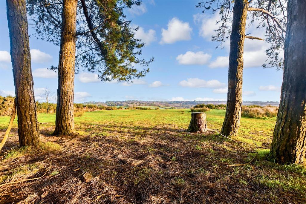 Surrounding Area