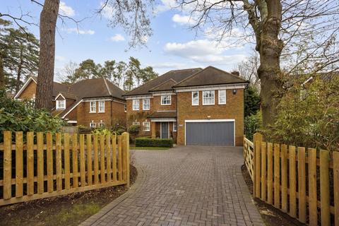 5 bedroom detached house to rent, Rise Road, Ascot, Berkshire