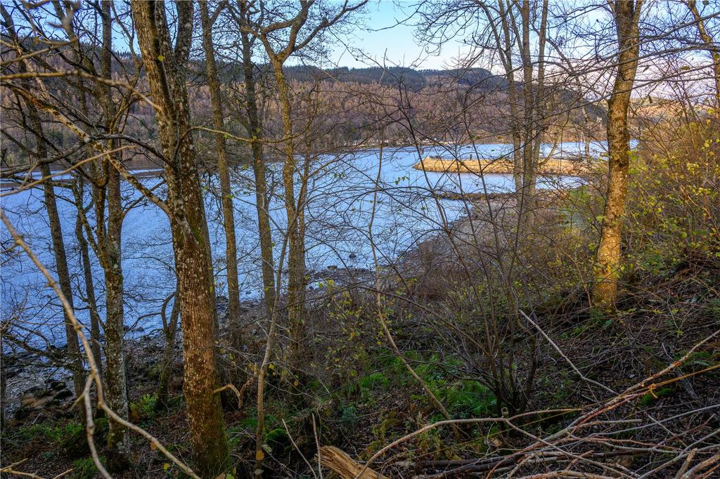 Loch Through Trees