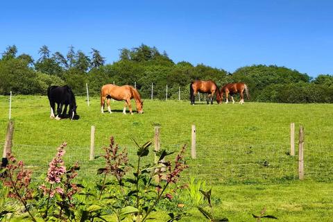 4 bedroom property with land for sale, Llansawel, Llandeilo