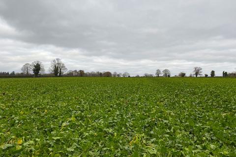 Farm land for sale, 11.13 Ha (27.50 Ac), Shack Lane, Blofield, Norfolk, NR13