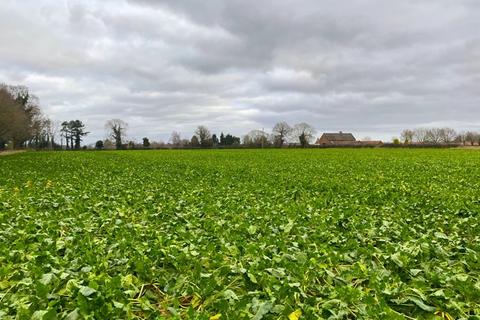 Farm land for sale, 11.13 Ha (27.50 Ac), Shack Lane, Blofield, Norfolk, NR13