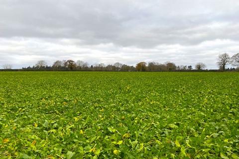 Farm land for sale, 11.13 Ha (27.50 Ac), Shack Lane, Blofield, Norfolk, NR13