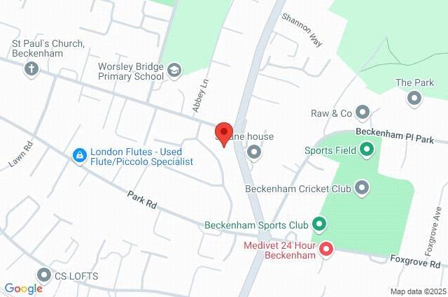 Google Maps Image