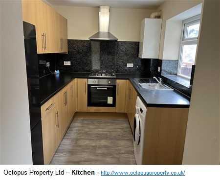 Picture 13