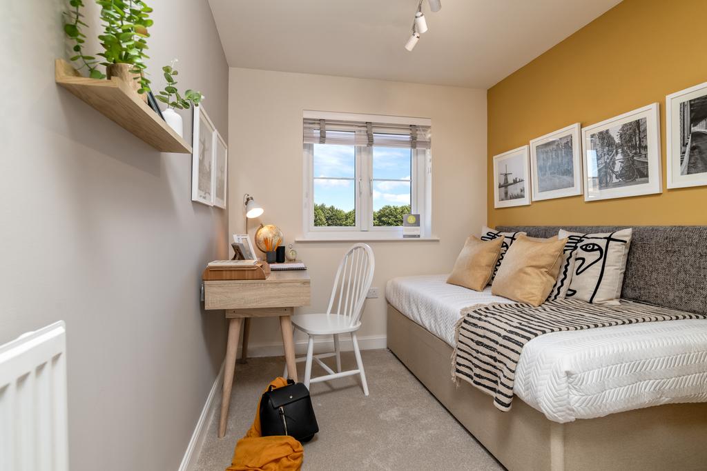 Kings Gallop-Glamis-BGAM02 GD-100123-32