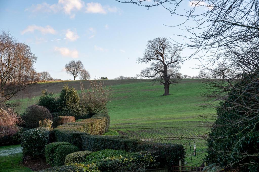 Hill Croft-8.jpg