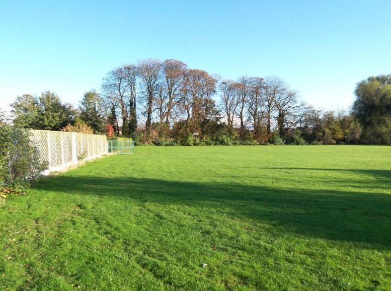 Ramby&#39;s Site Pic.png