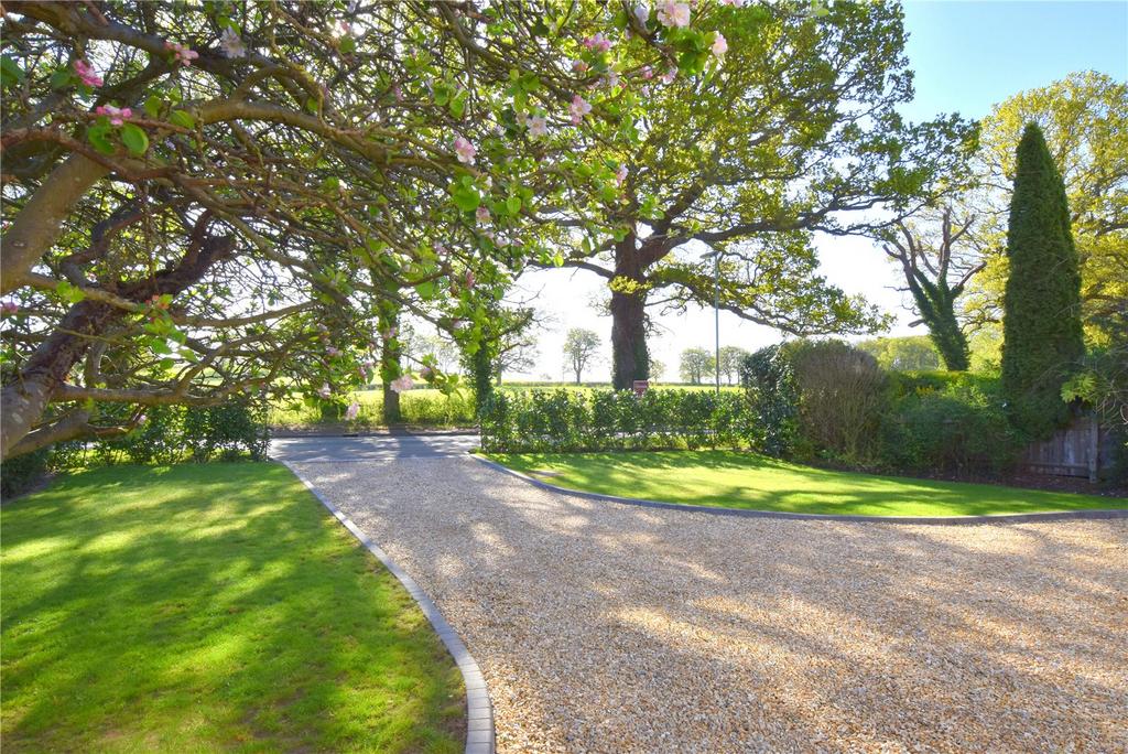 Driveway
