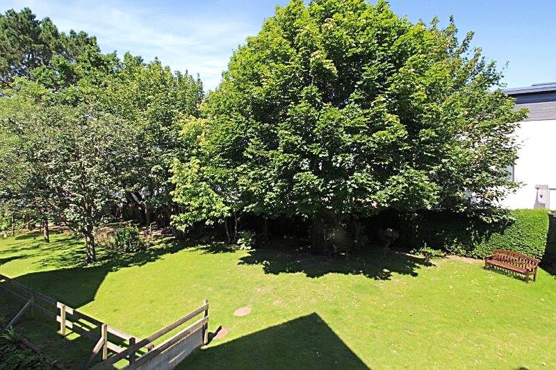 Communial Gardens