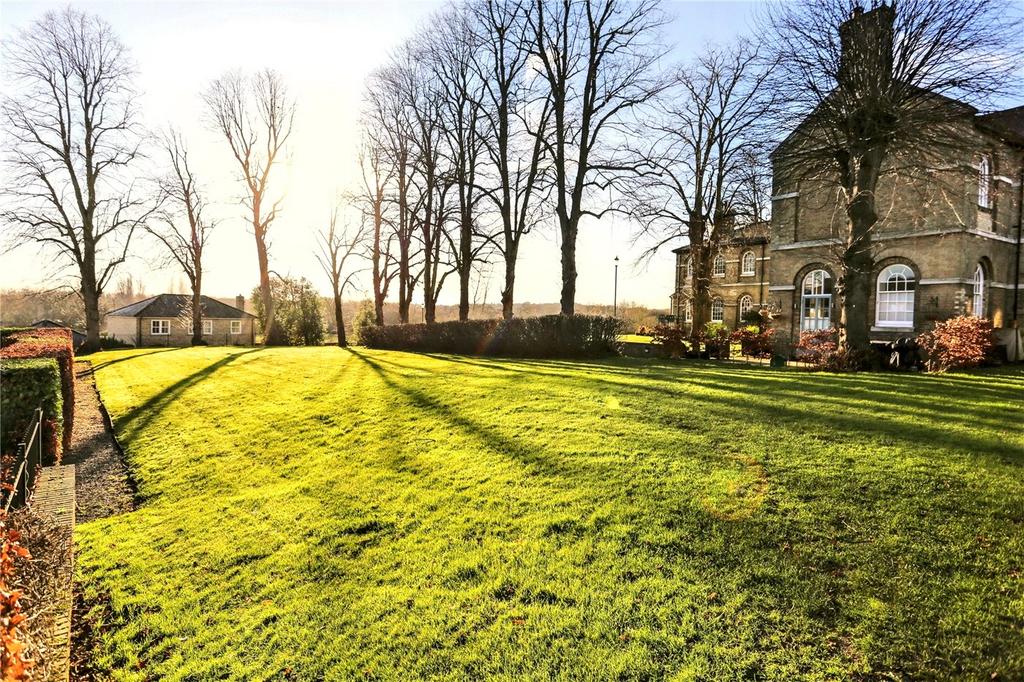 Communal Gardens